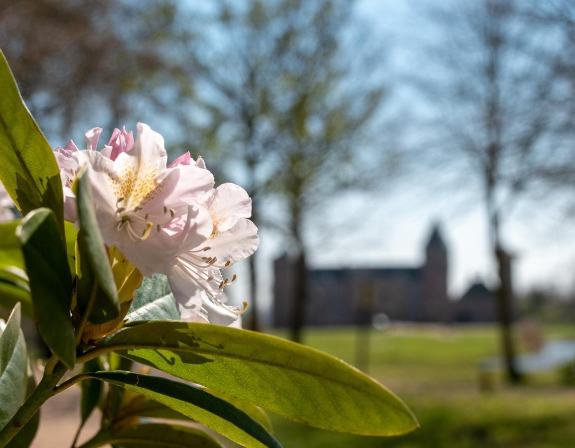 Villa Dunopark 49 Oostkapelle Bagian luar foto